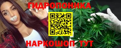 эйфоретик Новодвинск