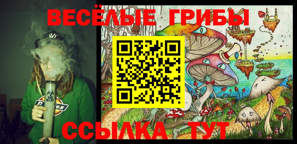 Галлюциногенные грибы Cubensis Ноябрьск